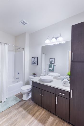 Raised bowl bathroom sinks